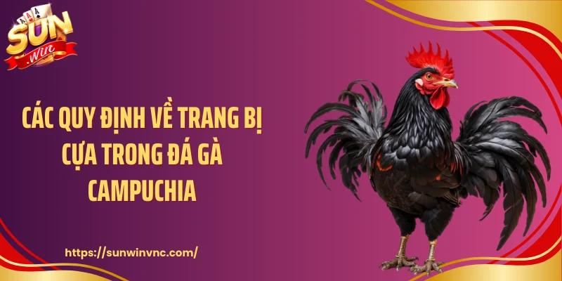 Các quy định về trang bị cựa trong đá gà Campuchia
