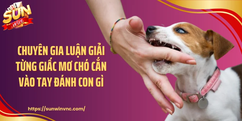 Chuyên gia luận giải từng giấc mơ chó cắn vào tay đánh con gì