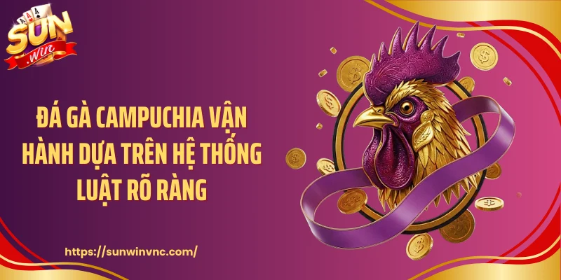 Đá gà Campuchia vận hành dựa trên hệ thống luật rõ ràng