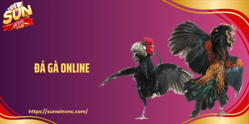 Đá Gà Online - Cách Người Xem Nắm Lợi Thế Từ Màn Hình