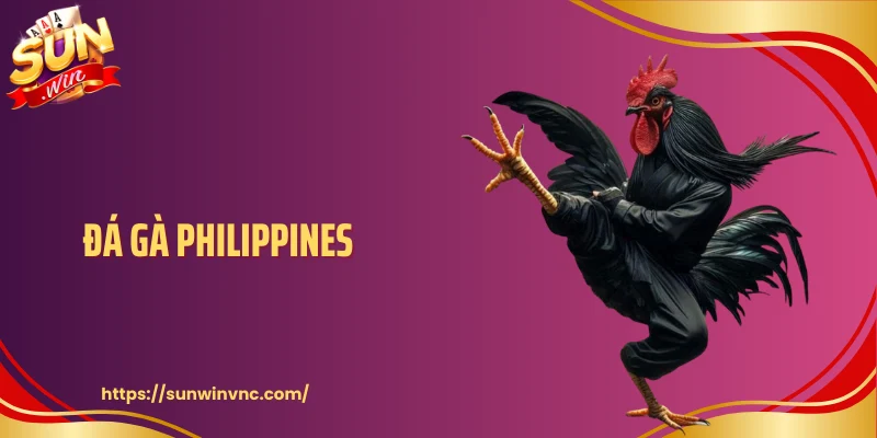 Đá Gà Philippines - Sức Hút Từ Mô Hình Thi Đấu Chuyên Nghiệp