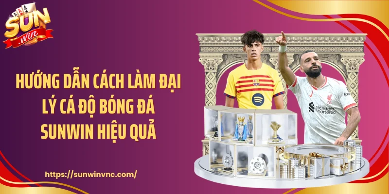 Hướng dẫn cách làm đại lý cá độ bóng đá Sunwin hiệu quả