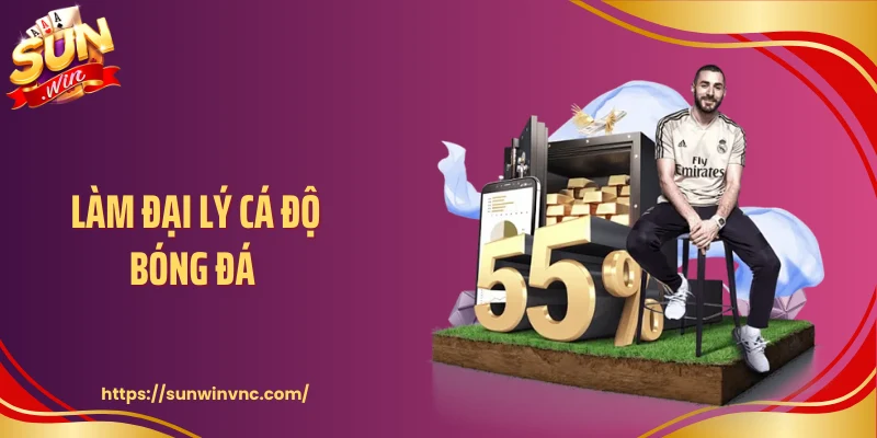 Làm Đại Lý Cá Độ Bóng Đá Sunwin - Cách Vận Hành Hiệu Quả 