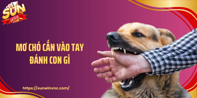 Mơ Chó Cắn Vào Tay Đánh Con Gì Và Những Ẩn Ý Phía Sau