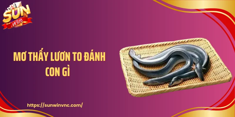 Mơ Thấy Lươn To Đánh Con Gì - Thông Điệp Ẩn Sau Giấc Mơ