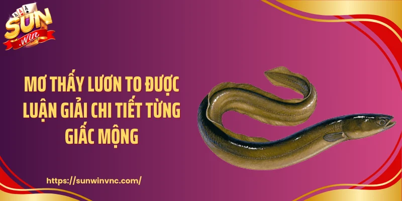 Mơ thấy lươn to được luận giải chi tiết từng giấc mộng