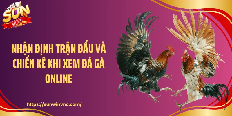 Nhận định trận đấu và chiến kê khi xem đá gà online