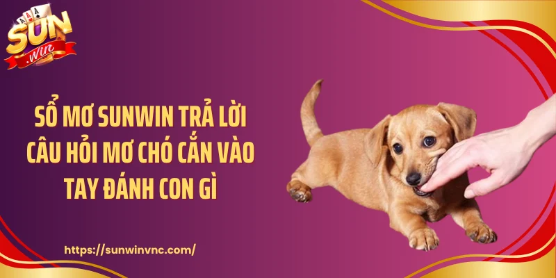 Sổ mơ Sunwin trả lời câu hỏi mơ chó cắn vào tay đánh con gì