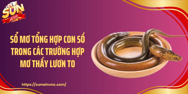 Sổ mơ tổng hợp con số trong các trường hợp mơ thấy lươn to