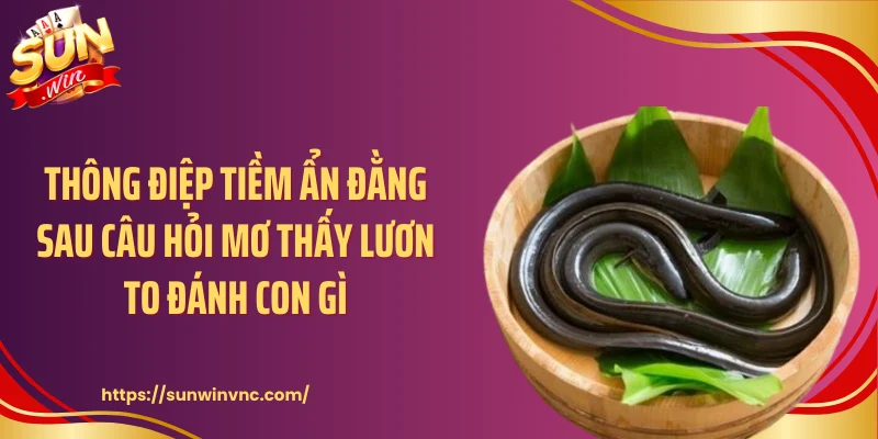 Thông điệp tiềm ẩn đằng sau câu hỏi mơ thấy lươn to đánh con gì